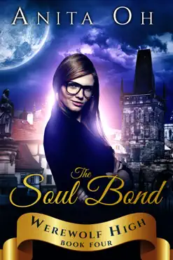 the soul bond book cover image