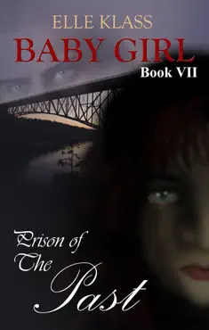prison of the past book cover image