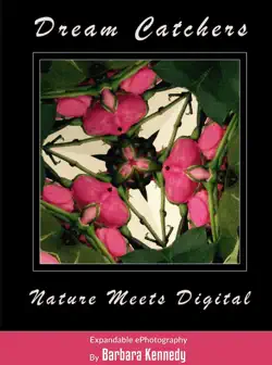 dream catchers - nature meets digital book cover image
