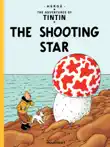The Shooting Star sinopsis y comentarios