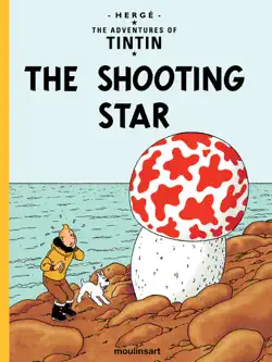 the shooting star book cover image