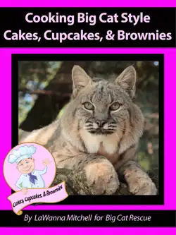 cooking big cat style cookies book cover image