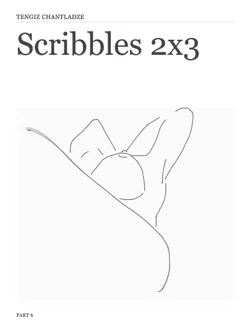 scribbles 2x3 book cover image