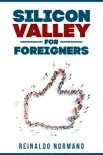 Silicon Valley for Foreigners synopsis, comments