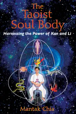 the taoist soul body book cover image