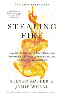 stealing fire book cover image