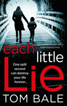 each little lie book cover image
