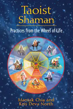 taoist shaman book cover image