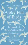 A Sky Full of Birds synopsis, comments
