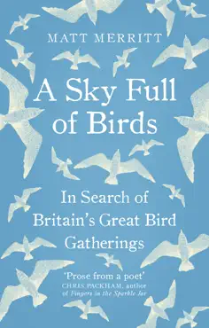 a sky full of birds book cover image