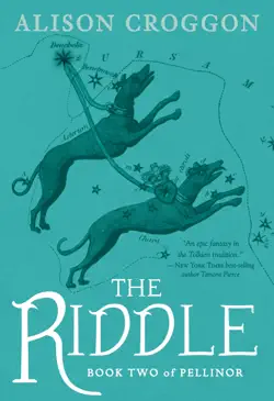 the riddle book cover image