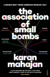 The Association of Small Bombs sinopsis y comentarios