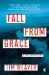 Fall from Grace synopsis, comments