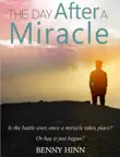 The Day After A Miracle synopsis, comments