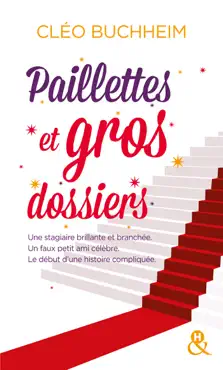 paillettes et gros dossiers book cover image