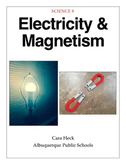 electricity & magnetism book cover image