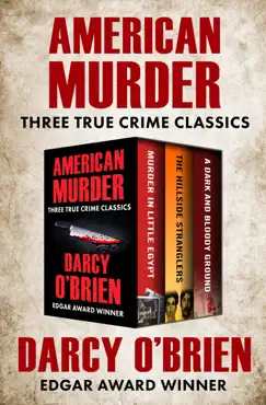 american murder book cover image