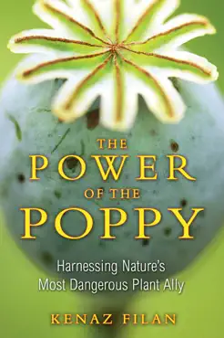 the power of the poppy book cover image