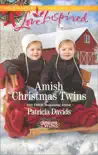 Amish Christmas Twins synopsis, comments
