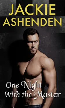 one night with the master book cover image
