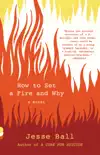 How to Set a Fire and Why synopsis, comments