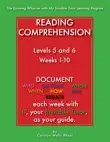 Reading Comprehension - Levels 5 and 6 synopsis, comments
