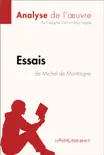 Essais de Michel de Montaigne (Analyse de l'oeuvre) sinopsis y comentarios