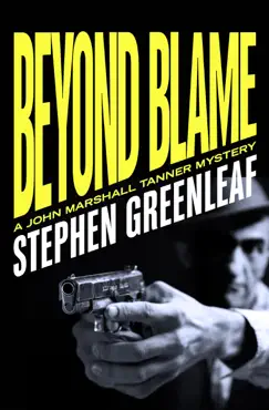 beyond blame book cover image