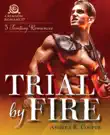 Trial by Fire synopsis, comments