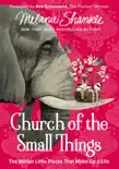 Church of the Small Things synopsis, comments