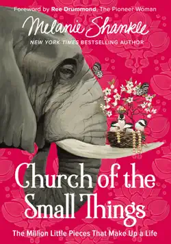 church of the small things book cover image
