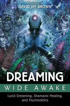 dreaming wide awake book cover image