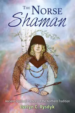 the norse shaman book cover image