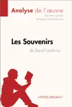 Les Souvenirs de David Foenkinos (Analyse de l'oeuvre) sinopsis y comentarios