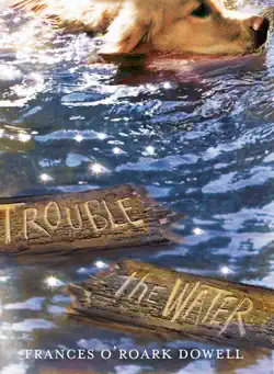trouble the water book cover image
