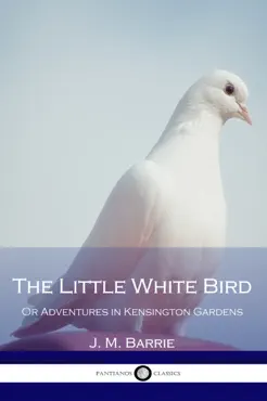 the little white bird book cover image