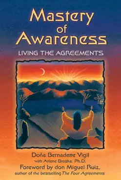 mastery of awareness book cover image