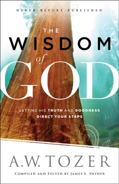 the wisdom of god book cover image