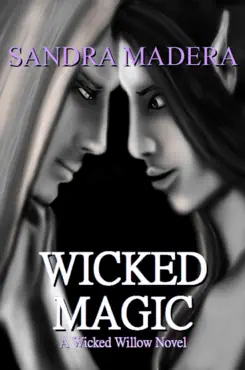 wicked magic book cover image