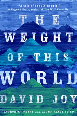 the weight of this world book cover image