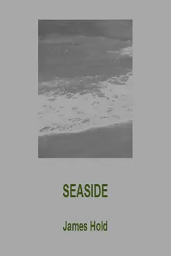 seaside book cover image