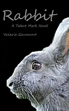 rabbit book cover image