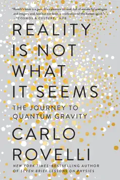 reality is not what it seems book cover image