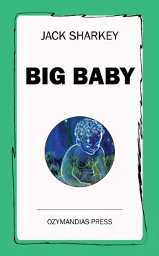 big baby book cover image