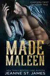 Made Maleen synopsis, comments