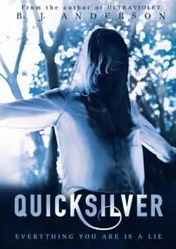 quicksilver book cover image