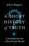 A Short History of Truth synopsis, comments