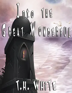 into the great wonderful book cover image