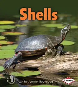 shells book cover image