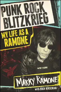 punk rock blitzkrieg book cover image